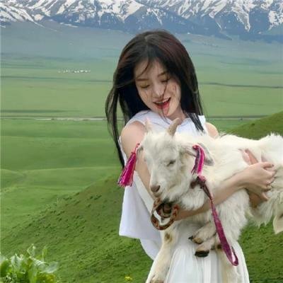 翻叮一族粤语
